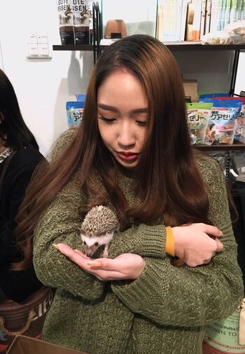 meermu
