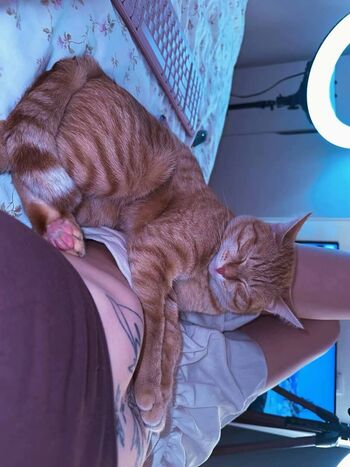 Full leaked Merciabawden private onlyfans photo