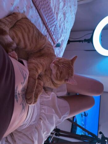 Full leaked Merciabawden private onlyfans photo