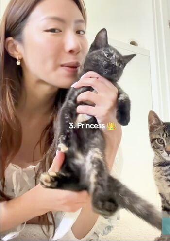 Miki Rai Mikirai