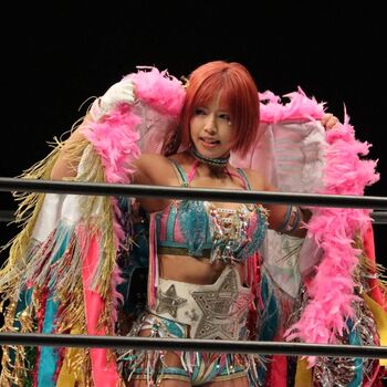 Mina Shirakawa