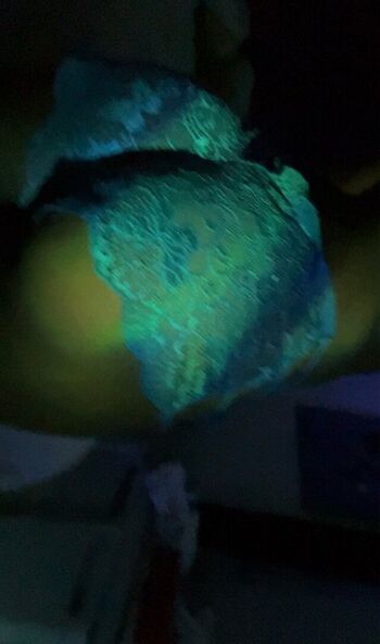 Full leaked Missyhollywoodd private onlyfans photo