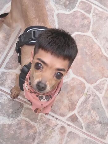 Full leaked Momoiro cosplay private onlyfans photo