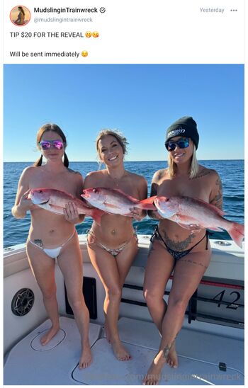 Mudslingintrainwreck