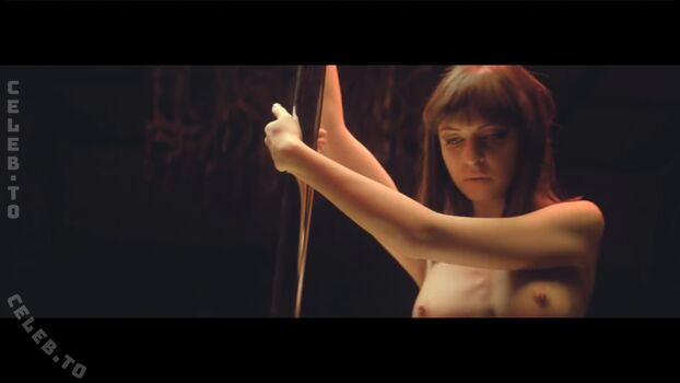 Musikvideos