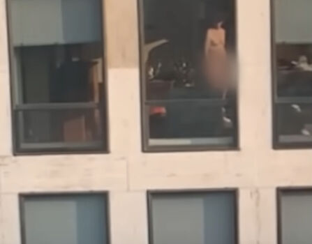 Full leaked Neighbor private onlyfans photo
