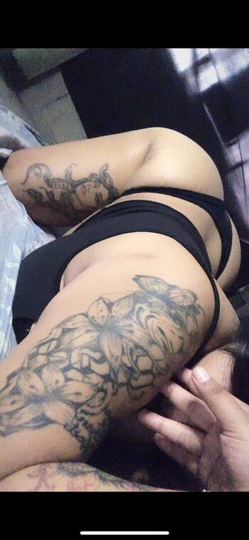 nesh1206