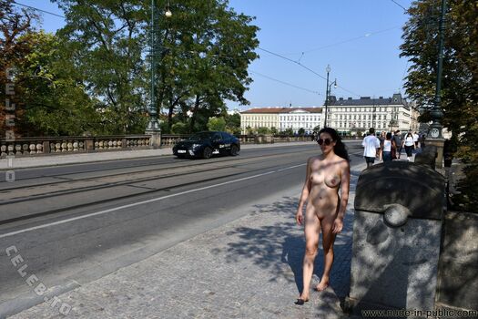 Nude In Public