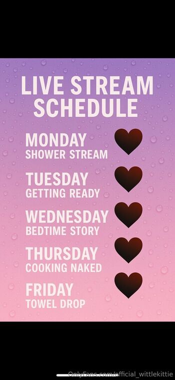 official_wittlekittie