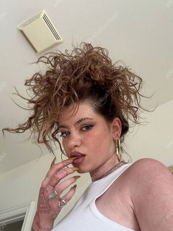 OfficialDytto