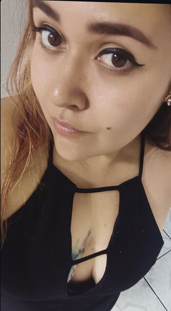 Paleta Iba