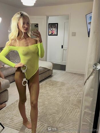 Full leaked Petitesneakylink private onlyfans photo