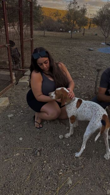 Pettiana | Cypriotmami