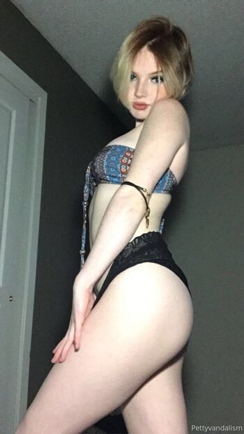 Full leaked Pettyvandalism private onlyfans photo