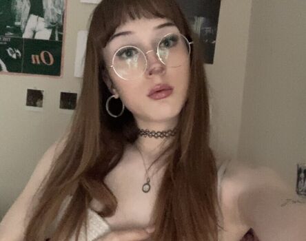 phoebefawn