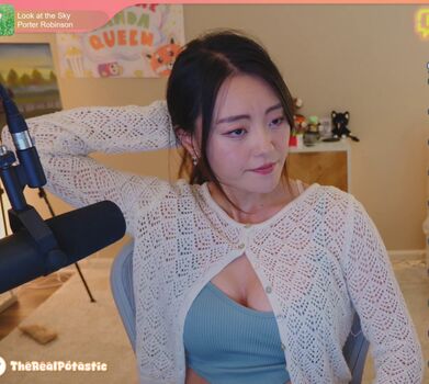 PotasticPanda