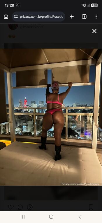 Rosebronze40