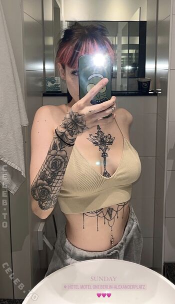 schweinenuttenfotzenscheisse