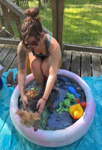 SeeCatPlay