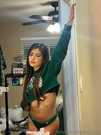 Shark Bae