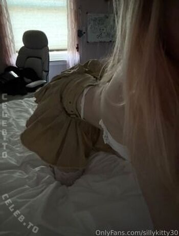 sillykitty30