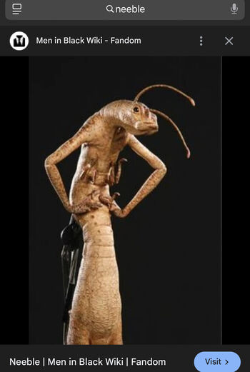 Full leaked Slimgem private onlyfans photo