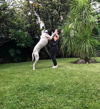 Full leaked Sofa rocha private onlyfans photo