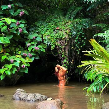 Soleyfaye