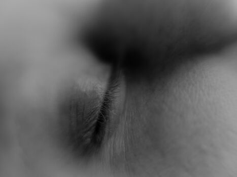 Something About Olive