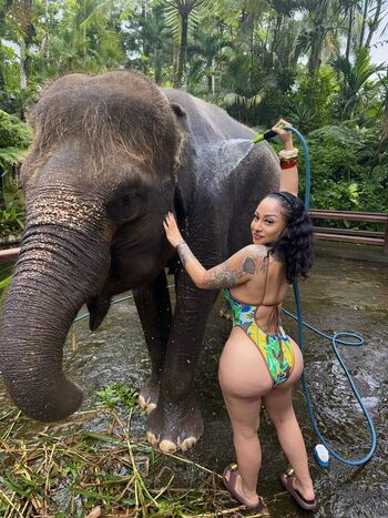 Full leaked Suleeeeey private onlyfans photo