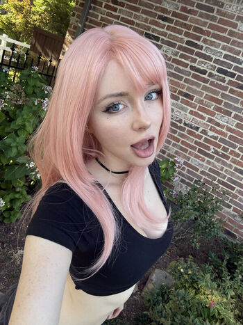 tabbyycatts