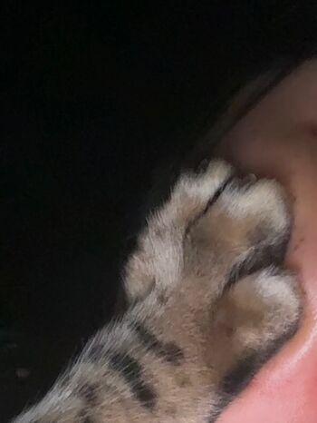 Full leaked Tae ha xx private onlyfans photo