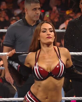 The Bella Twins