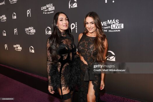 The Bella Twins