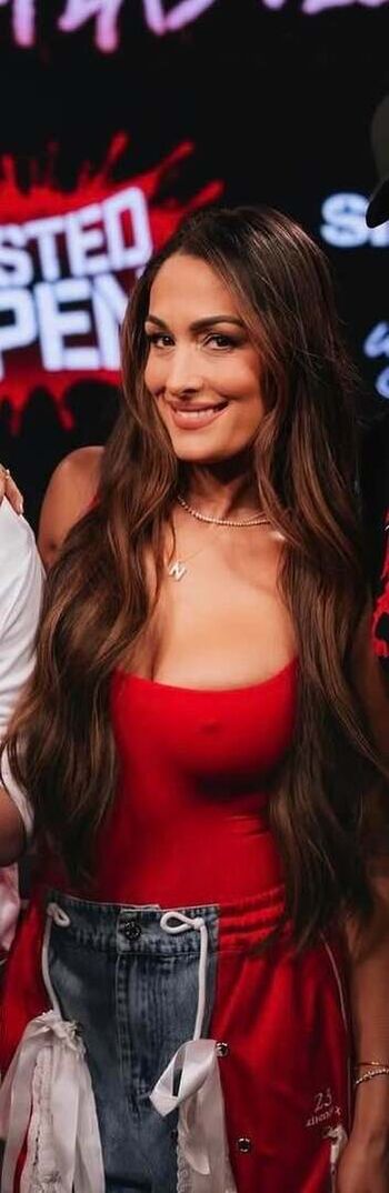 The Bella Twins