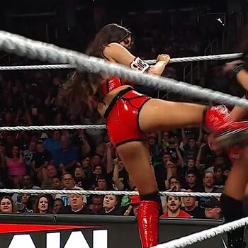 Full leaked The bella twins page private onlyfans photo