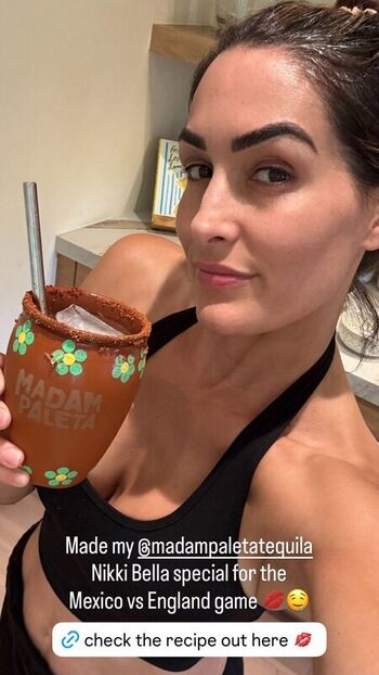 The Bella Twins
