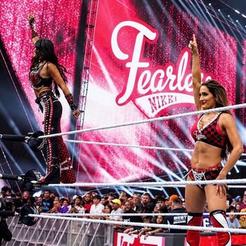The Bella Twins