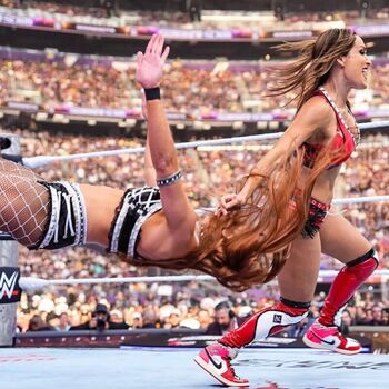 The Bella Twins