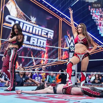Full leaked The bella twins page private onlyfans photo