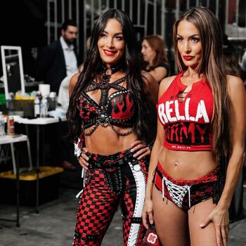 The Bella Twins
