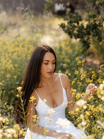The Bella Twins