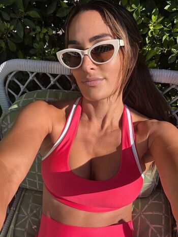 The Bella Twins