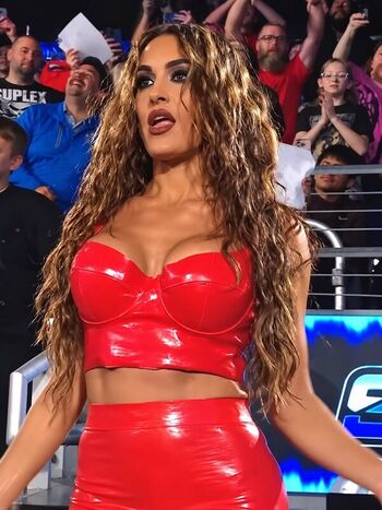 Full leaked The bella twins private onlyfans photo