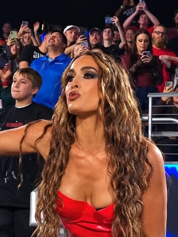 Full leaked The bella twins private onlyfans photo