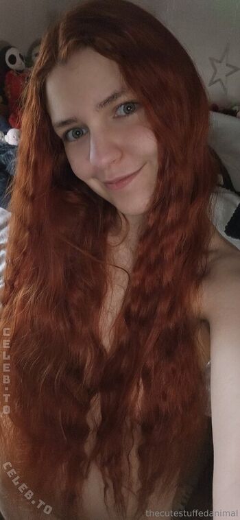 thecutestuffedanimal