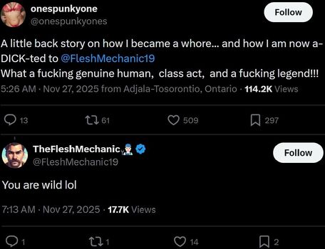 thefleshmechanic