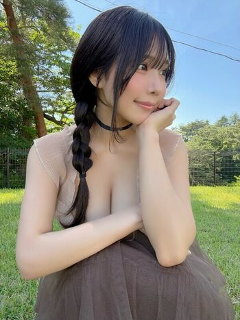 Towa Rabbit