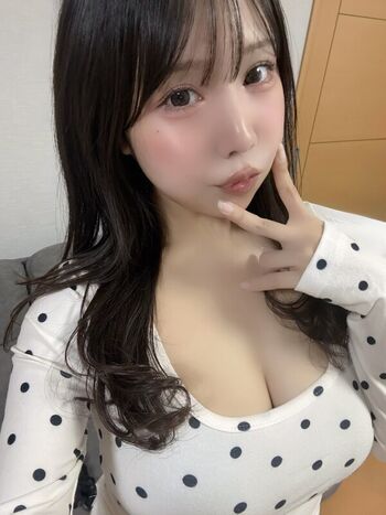 Towa Rabbit
