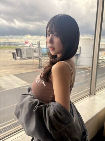 Towa Rabbit